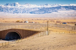 Experts Agree on the Need for Climate-informed Wildlife Crossings